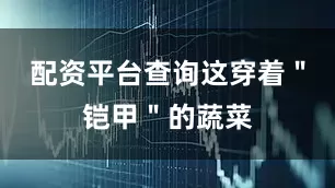 配资平台查询这穿着＂铠甲＂的蔬菜