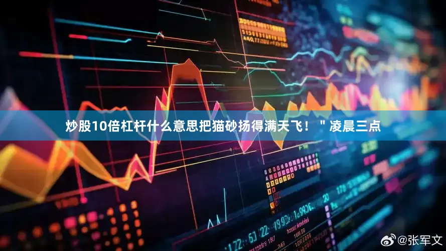 炒股10倍杠杆什么意思把猫砂扬得满天飞！＂凌晨三点