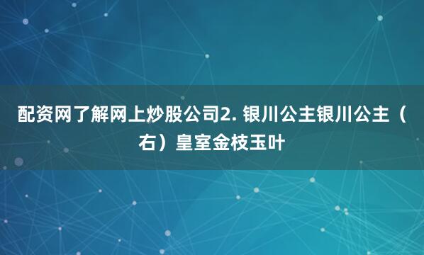 配资网了解网上炒股公司2. 银川公主银川公主(右)皇室金枝玉叶